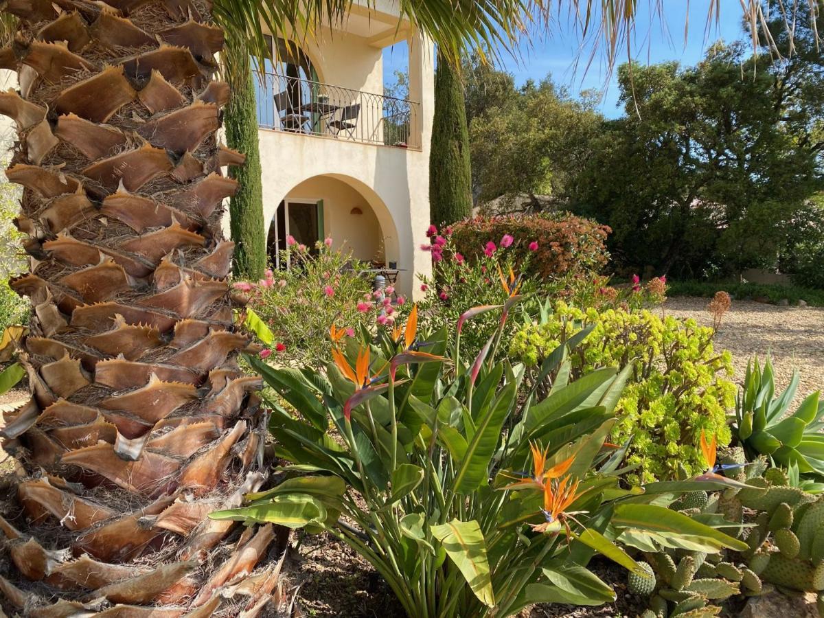 La Mauresque Bed and Breakfast Grimaud Εξωτερικό φωτογραφία